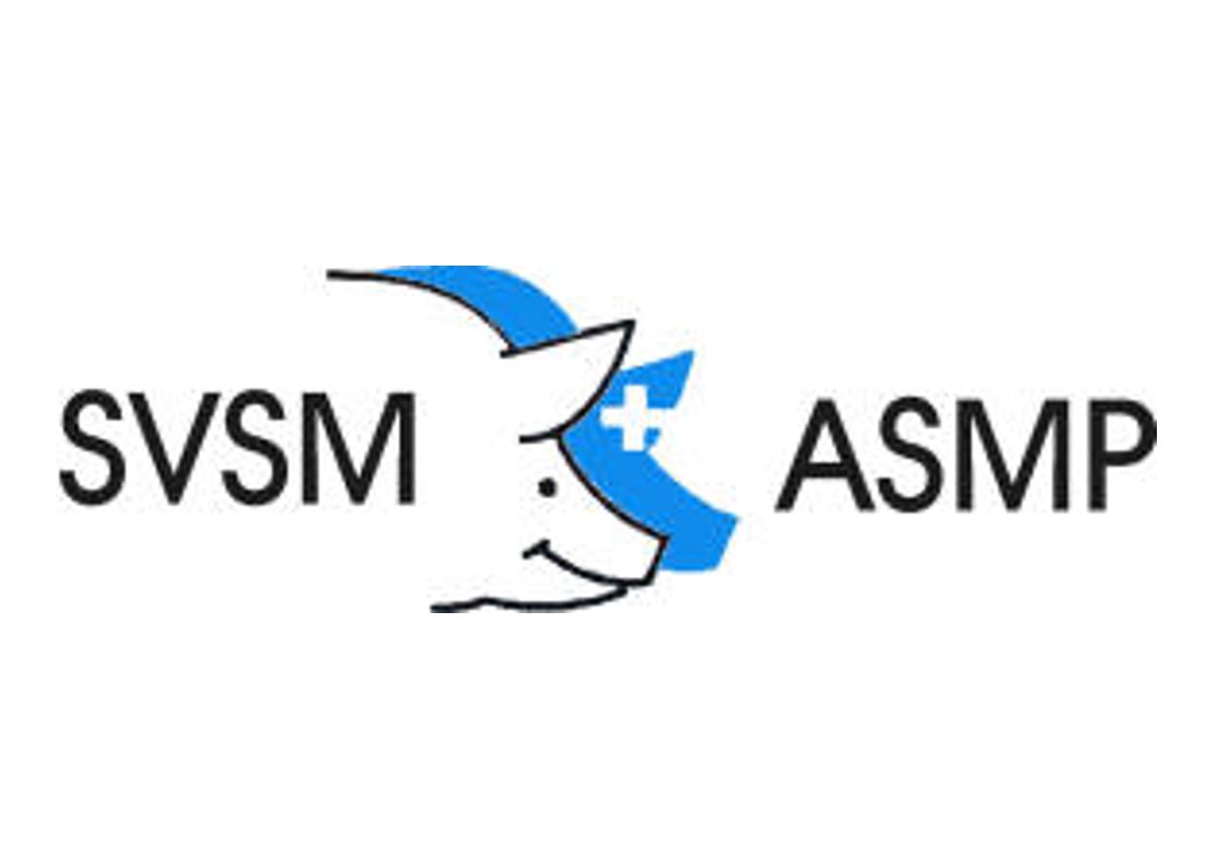 SVSM