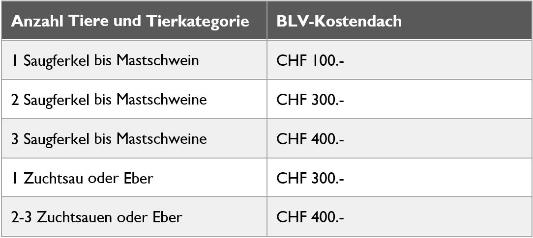 Tabelle Kostendach